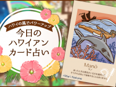 2019年12月31日のハワイアンカード占い