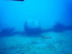 アトランティス・サブマリン潜水艦ツアーでハワイの海底お散歩を楽しんだ