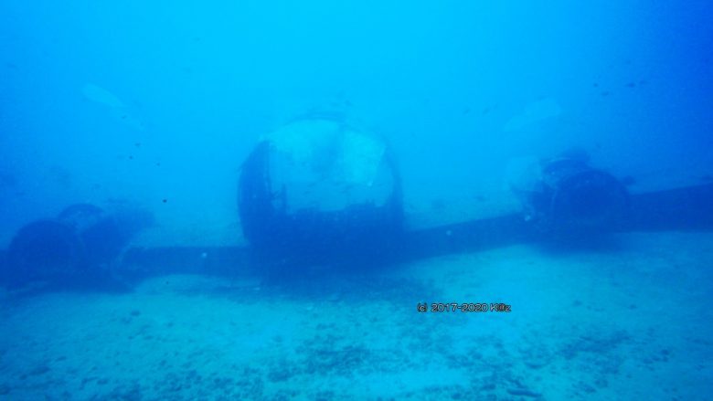アトランティス・サブマリン潜水艦ツアーでハワイの海底お散歩を楽しんだ