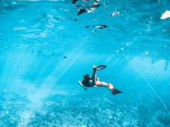 ハワイの最旬アクティビティをご紹介！