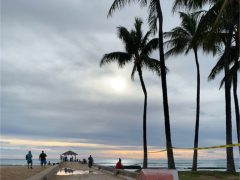 【3月25日現在】ハワイの新型コロナウィルス最新情報！入国や外出規制についてチェック