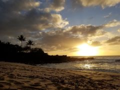 外出禁止令がでたハワイの様子。各自ができる対策もご紹介！