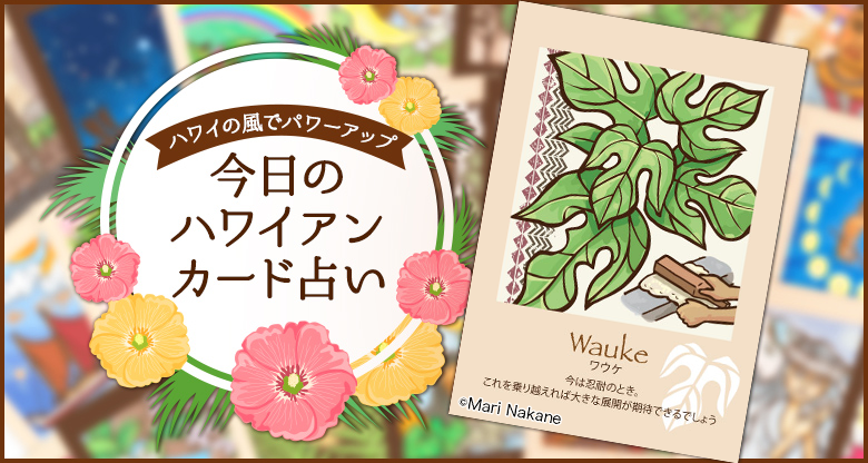 Wauke(ワウケ)