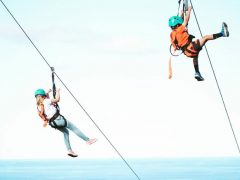 最旬　ハワイで人気のアクティビティ4選