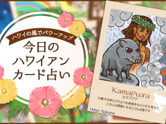 2021年3月16日のハワイアンカード占い