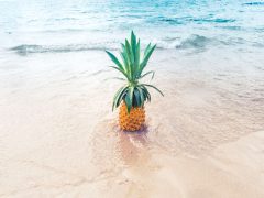 週末はハワイを思い出に浸りながら自宅でゆっくり！