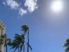 影が消える？！ハワイの不思議な自然現象をご紹介！