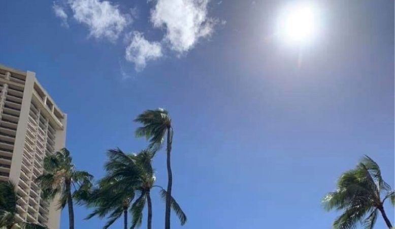 影が消える？！ハワイの不思議な自然現象をご紹介！