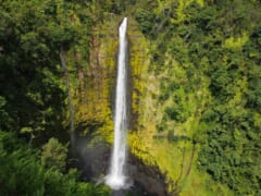 ハワイ島の名瀑アカカの滝で心を癒す！ハワイ旅行で行きたいパワースポット