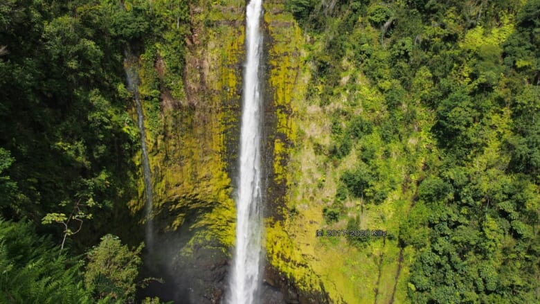 ハワイ島の名瀑アカカの滝で心を癒す！ハワイ旅行で行きたいパワースポット