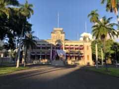 アメリカの人種差別抗議運動はハワイでも？講義の様子や被害は？