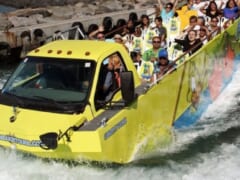 陸と海を満喫！ダックツアーでハワイを楽しもう