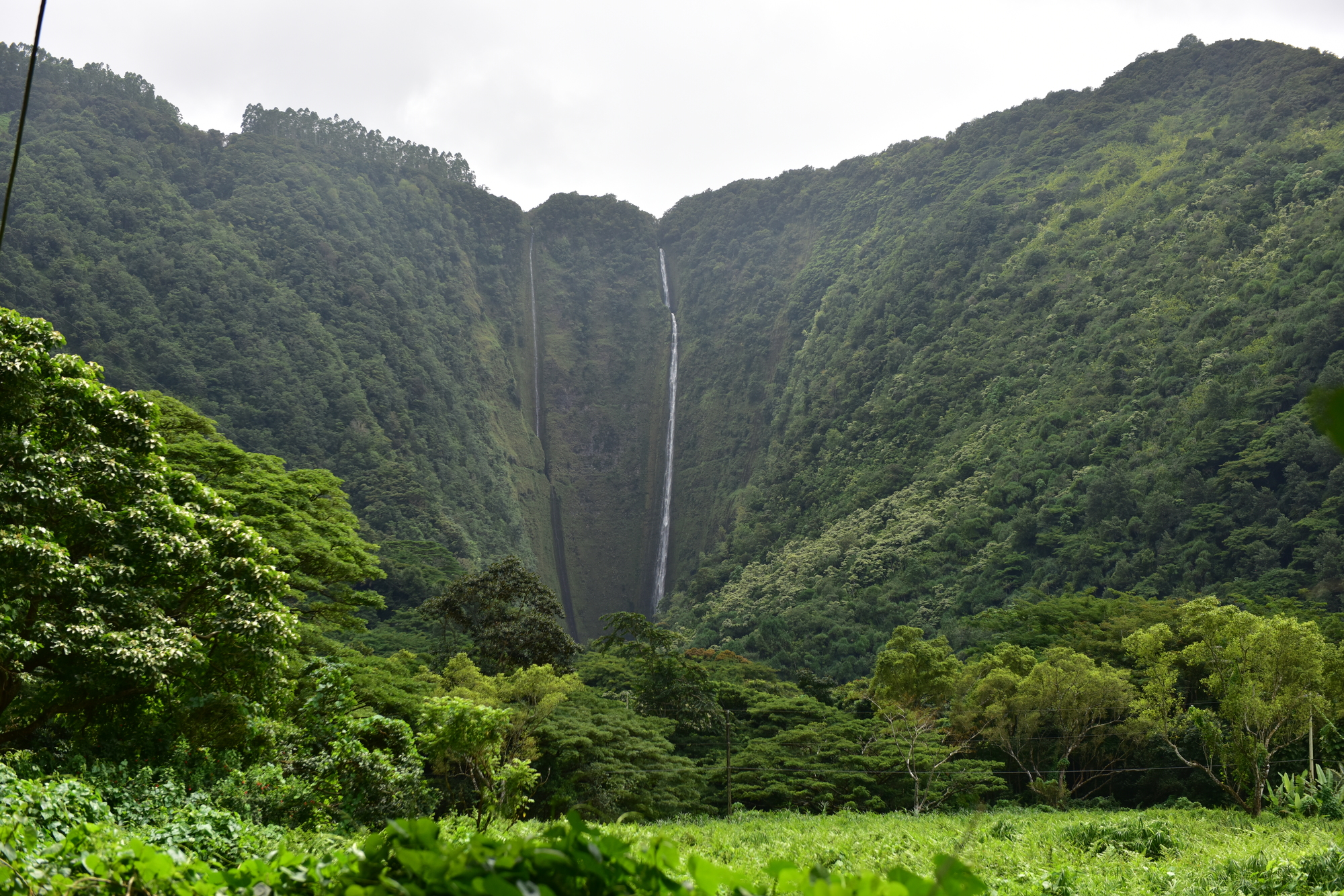 hawaii