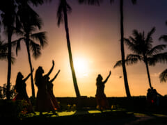ハワイアンソングからハワイを学ぼう