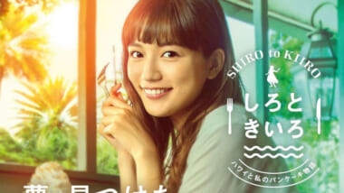 ハワイが舞台のテレビシリーズ4選
