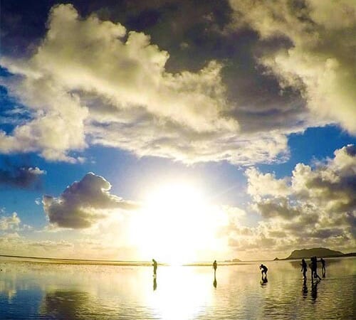 夏季限定 天国の海® サンライズツアー