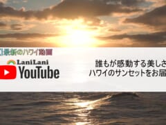 【4K HAWAII】ハワイの感動的なサンセットをおうちで楽しもう！