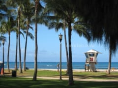 ハワイへの渡航の道のりは険しいのか～観光業の再開延期を求める決議案が可決