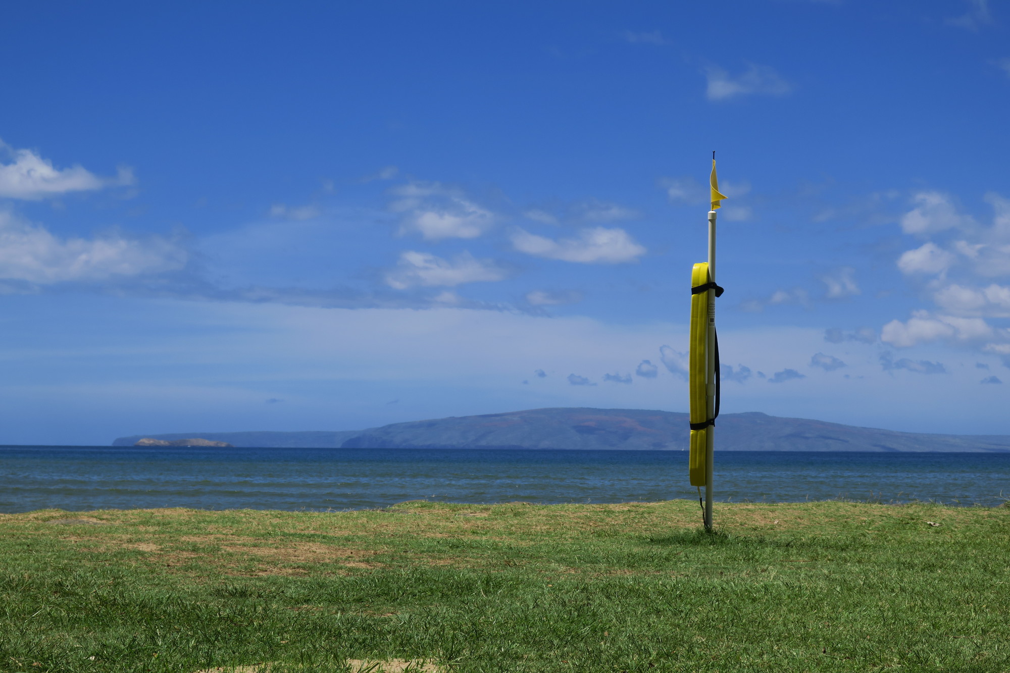 徹底解説】8島それぞれで違う！ハワイアンアイランドの公式カラーと花をご紹介 | ハワイの最新情報をお届け！LaniLani