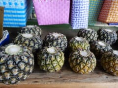 ハニークリームパイナップルで人気の農園で「特別美味しいもの」を味わってみた