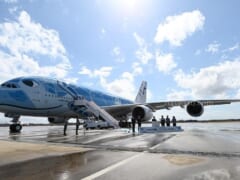 【再延期決定】ANAファンが飛ばす「フライングホヌ・チャーターフライト」第二弾の詳細をお届け