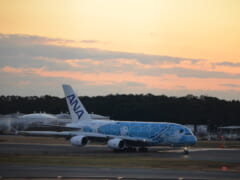 ハワイ専用飛行機のフライングホヌ「カイくん」がお散歩飛行へ♪