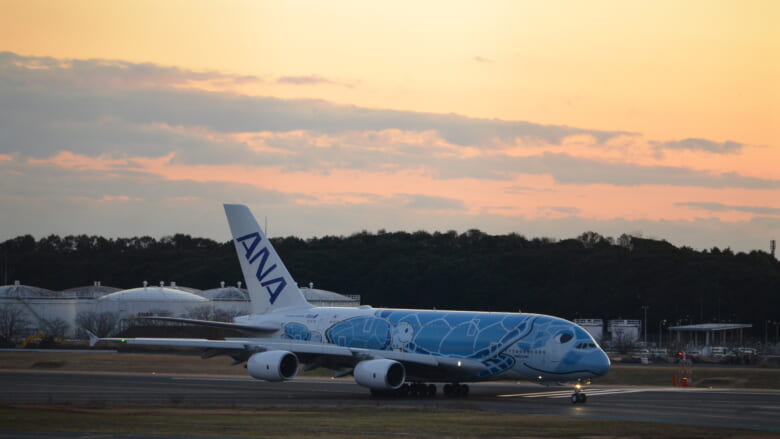 ハワイ専用飛行機のフライングホヌ「カイくん」がお散歩飛行へ♪