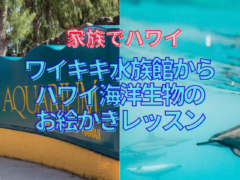 【家族でハワイ】夏の自由研究：ワイキキ水族館からハワイ海洋生物のお絵かきレッスン