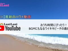 【4K HAWAII】ワイキキビーチを見ておうちでハワイを楽しもう！