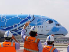 ANA フライングホヌのチャーターフライト～90分の遊覧飛行と機内全貌お見せします！