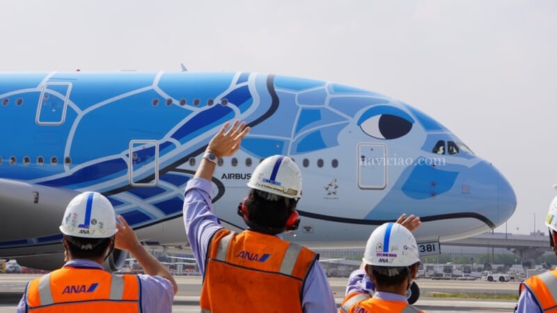ANAのエアバスA380「フライングホヌ」が復活します！～8月に成田ーホノルルで２往復