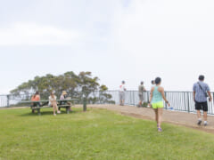 アフターコロナのハワイ旅で体験したいオプショナルツアー
