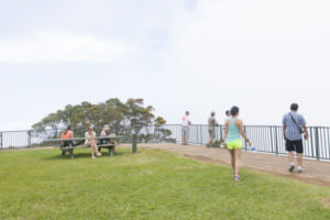 アフターコロナのハワイ旅で体験したいオプショナルツアー