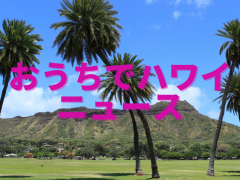 【おうちでハワイニュース】ウルフギャング・ステーキハウス by ウルフギャング・ズウィナーにて「Taste of Hawaii」フェア開催中(9/30まで）