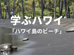 【学ぶハワイ】ハワイ島のビーチをご紹介