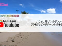 【4K HAWAII】ロックダウン中のハワイのビーチは単独利用のみ！アラモアナビーチパークの最新映像をお届け