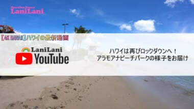 【4K HAWAII】ロックダウン中のハワイのビーチは単独利用のみ！アラモアナビーチパークの最新映像をお届け