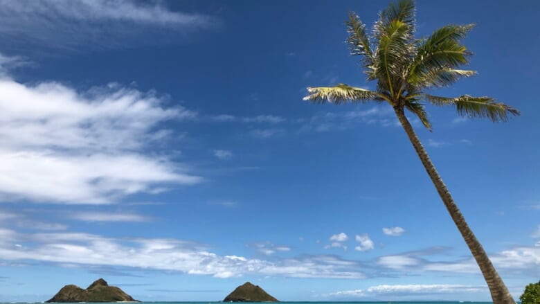 【最新のハワイのコロナ情勢】カウアイ島のリゾートバブル計画が一歩前進＆「旅行前テストプログラム」がいよいよスタート！