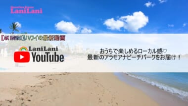 【4K HAWAII】ローカル感満載！おうちで楽しめるハワイのアラモアナビーチパークをお届け！