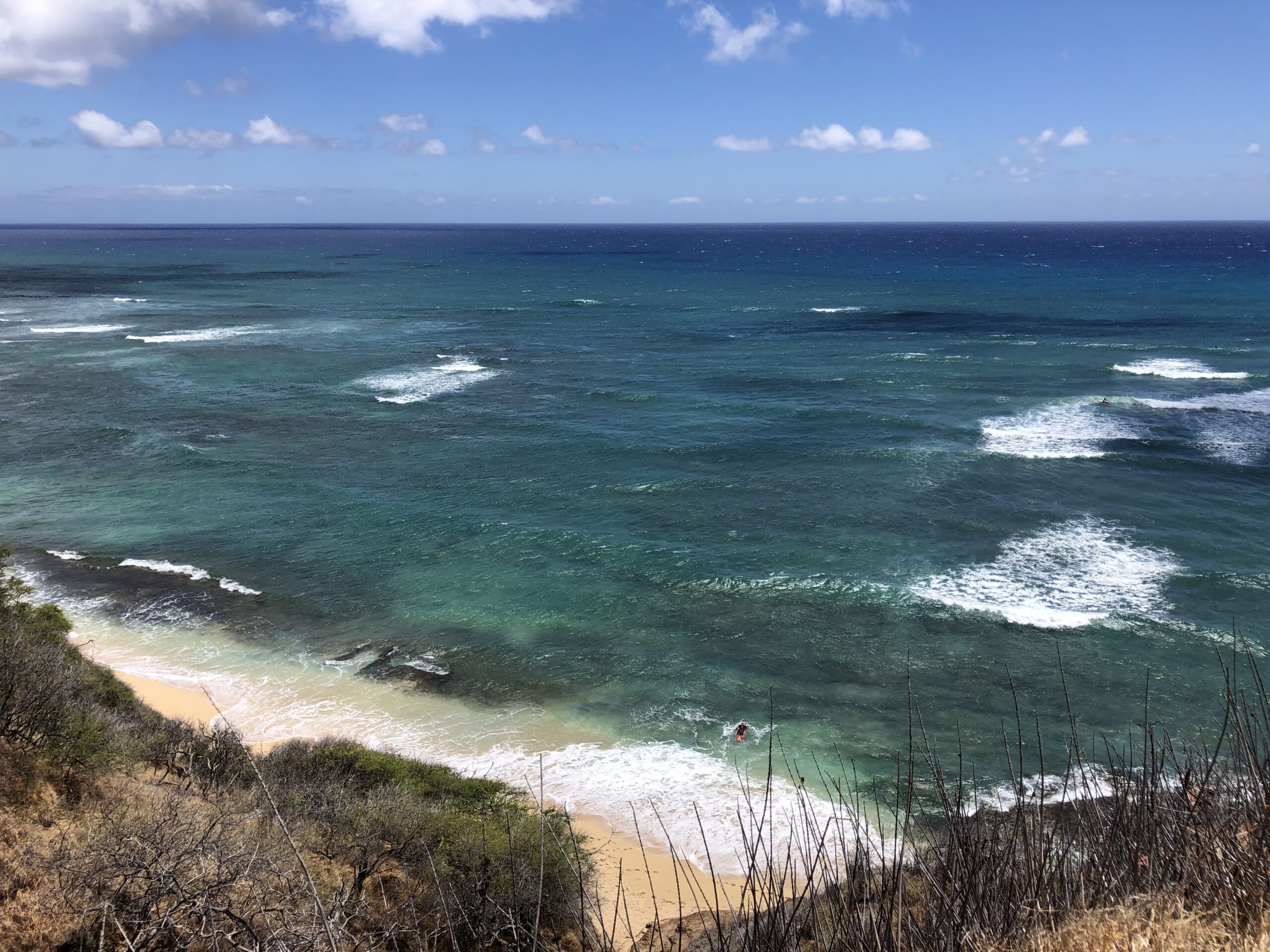 beachwalkinghawaii