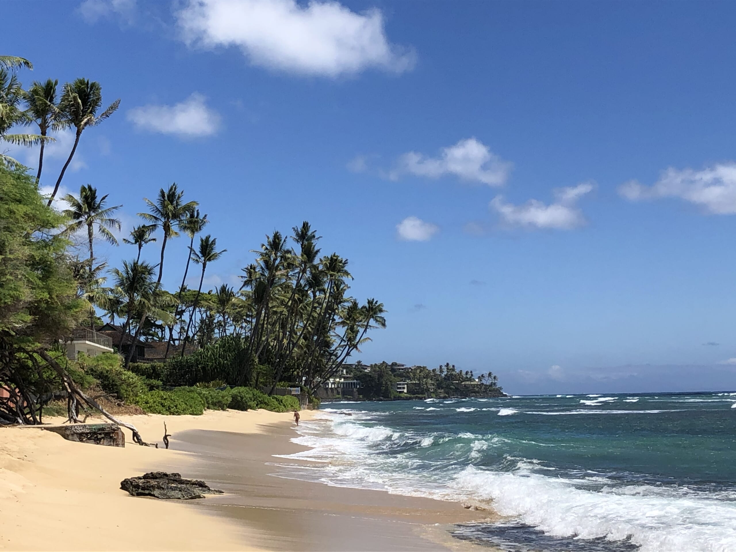 ハワイで2度目のロックダウン 自宅待機中のハワイアンビーチエクササイズ ハワイの最新情報をお届け Lanilani