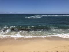 ハワイで2度目のロックダウン ～自宅待機中のハワイアンビーチエクササイズ～