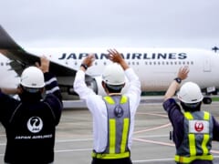 搭乗記念品や機内食も大公開！JAL「空たび☆星空フライト」レポします！