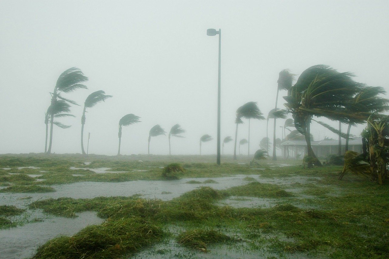 台風