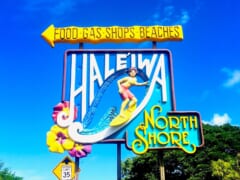 【在住者レポート】ハレイワの現状を在住者がレポート！人気店はどうなっている？