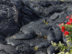 BLUE PLANET EXPLORER、中高生・教職員を対象とした『ハワイ島自然科学ライブセミナー』を開催。ハワイ州観光局公式の「ハワイユーススペシャリスト検定」にもチャレンジ!!