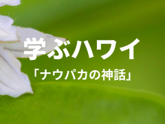 【学ぶハワイ】植物にまつわるハワイ神話