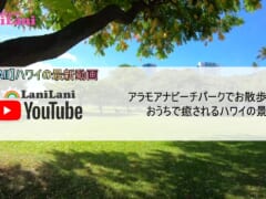 【4K HAWAII】ハワイのビーチパークでお散歩♪ おうちでアラモアナビーチパークで癒されよう