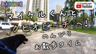 【4K HAWAII】やっぱりワイキキが好き♪ マイケルくんとワイキキのビーチウオークを楽しもう！