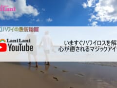 【4K HAWAII】ハワイロスを解消！マジックアイランドの魅力をたっぷりご紹介